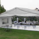 Plants: image 1 0f 4 thumb