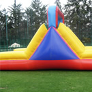 Plants: image 1 0f 4 thumb