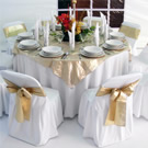 Plants: image 1 0f 4 thumb