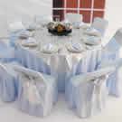 Plants: image 1 0f 4 thumb