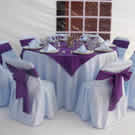 Plants: image 1 0f 4 thumb