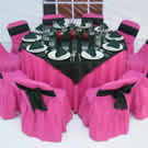 Plants: image 1 0f 4 thumb