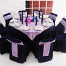 Plants: image 1 0f 4 thumb