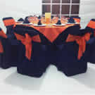 Plants: image 1 0f 4 thumb