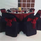 Plants: image 1 0f 4 thumb