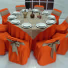 Plants: image 1 0f 4 thumb