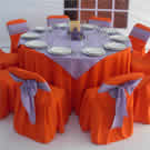 Plants: image 1 0f 4 thumb