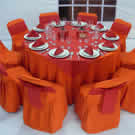 Plants: image 1 0f 4 thumb