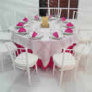 Plants: image 1 0f 4 thumb