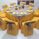 Plants: image 1 0f 4 thumb