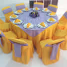 Plants: image 1 0f 4 thumb