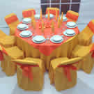 Plants: image 1 0f 4 thumb