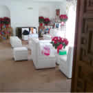 Plants: image 1 0f 4 thumb