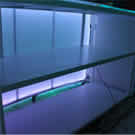 Plants: image 1 0f 4 thumb