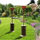 Plants: image 1 0f 4 thumb