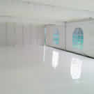 Plants: image 1 0f 4 thumb