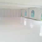 Plants: image 1 0f 4 thumb