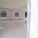 Plants: image 1 0f 4 thumb