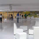 Plants: image 1 0f 4 thumb