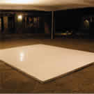 Plants: image 1 0f 4 thumb