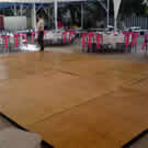 Plants: image 1 0f 4 thumb