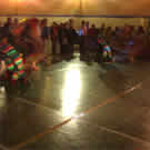 Plants: image 1 0f 4 thumb