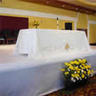 Plants: image 1 0f 4 thumb