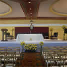 Plants: image 1 0f 4 thumb