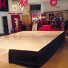 Plants: image 1 0f 4 thumb